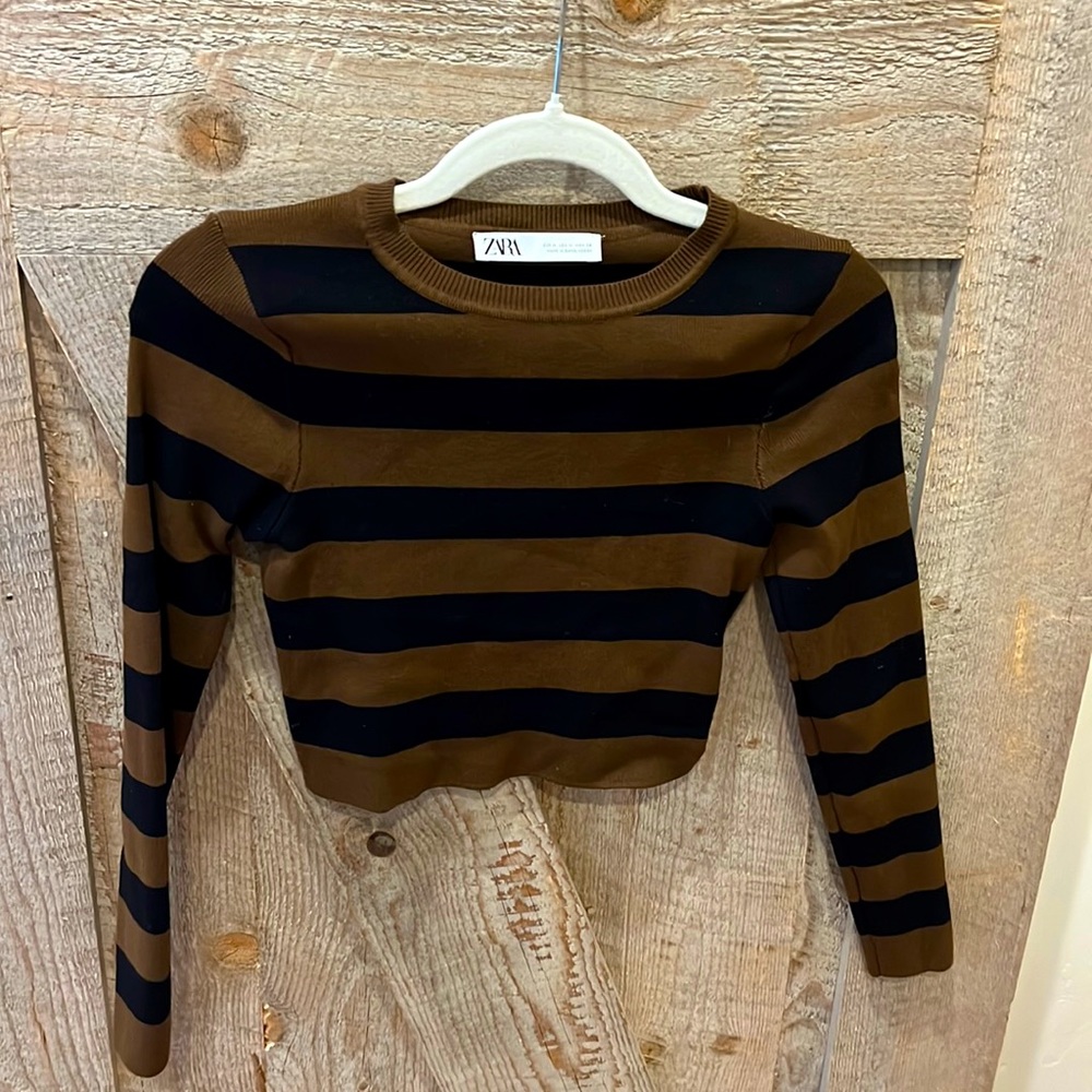 Zara - Knit Brown/Black Striped Long Sleeve Crop Top - M